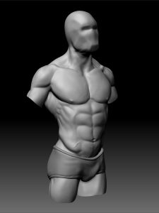 Modelagem 3d - anatomia